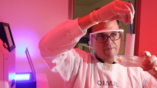 Haber | Modifiye Edilen HIV Proteini AIDS’ten Koruyabilir