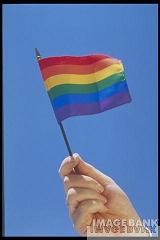 Haber | 2 milyon escinsel yürüdü