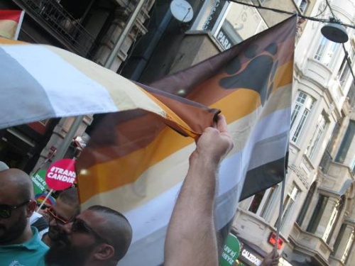 Haber | İstanbul Ayıları açılıyor