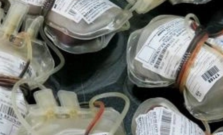 Haber | `Hollanda`da eşcinsellere kan verme yasağı ayrımcılık`