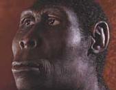 Haber | Eşcinsel mağara adamları! Sandığımız gibi değillermiş! 