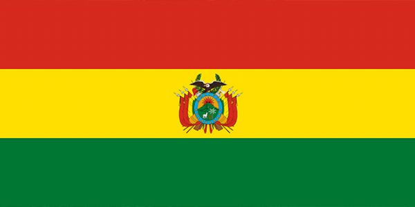 Haber | BOL�VYA�DA �LK E�C�NSEL EVL�L�K ONAYLANDI